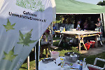 Färberworkshop im artpark/ Fotos privat